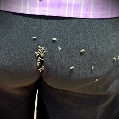 Flies on a butt.